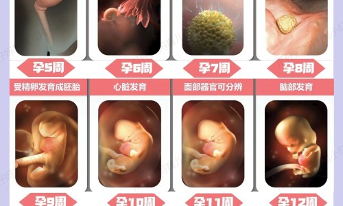 来月经可以喝红糖水嘛-来例假能喝红糖水吗对身体有害吗专区_来生理期可以喝红糖水吗专区_来例期间可以喝红糖水吗网
